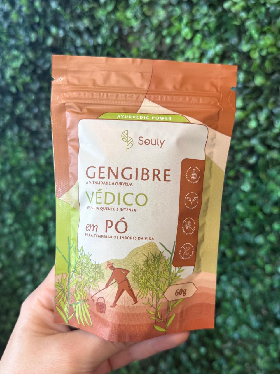 GENGIBRE VEDICO EM PO SOULY 60G