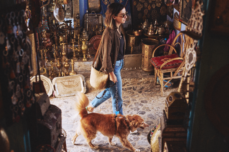 Coleção Marrakesh | Zee.Dog