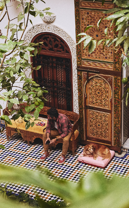 Coleção Marrakesh | Zee.Dog