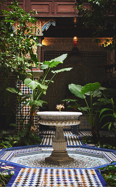 Coleção Marrakesh | Zee.Dog