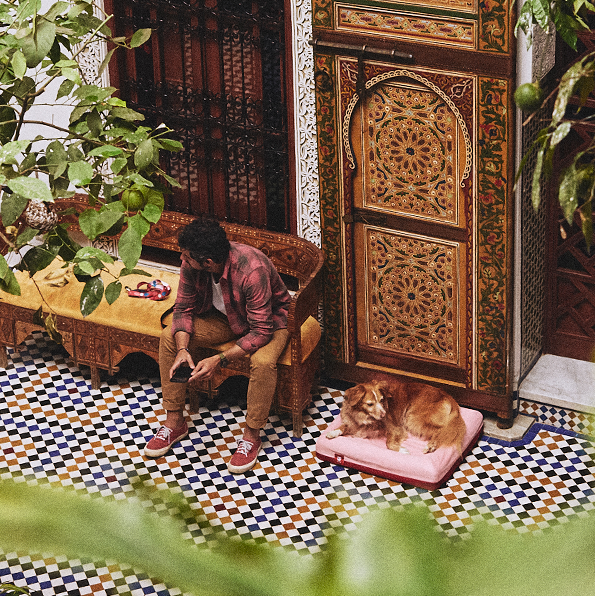 Coleção Marrakesh | Zee.Dog