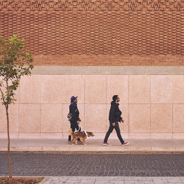 Coleção Marrakesh | Zee.Dog