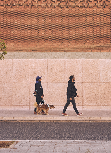 Coleção Marrakesh | Zee.Dog