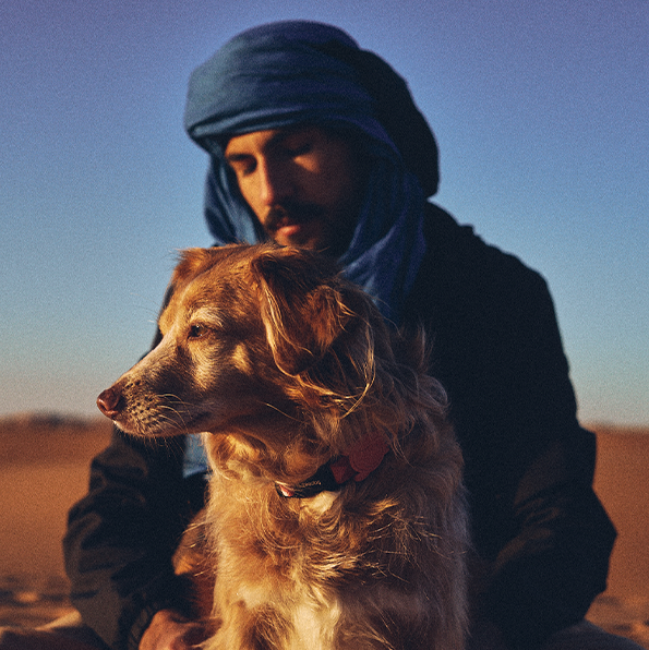 Coleção Marrakesh | Zee.Dog