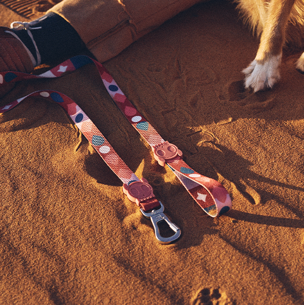 Coleção Marrakesh | Zee.Dog