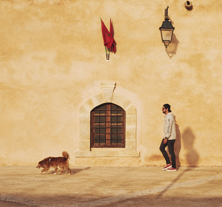 Coleção Marrakesh | Zee.Dog