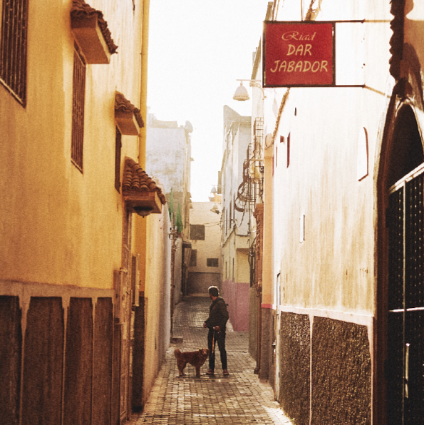 Coleção Marrakesh | Zee.Dog