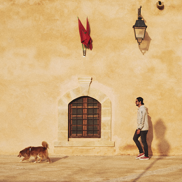 Coleção Marrakesh | Zee.Dog