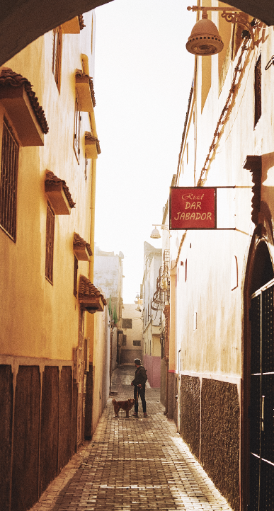 Coleção Marrakesh | Zee.Dog