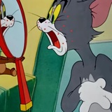 82684